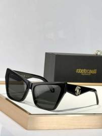 Picture of Roberto Cavalli Sunglasses _SKUfw69866881fw